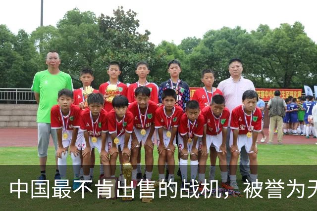 中国最不肯出售的战机，被誉为无价之宝，问世30多年依旧风采